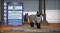 the_sims_3_pets-1.jpg