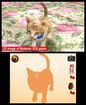 Nintendogs_plus_cats-7.jpg